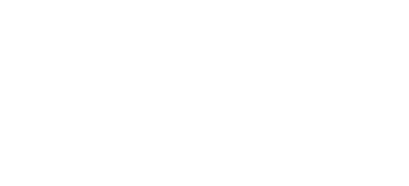 Fesoc